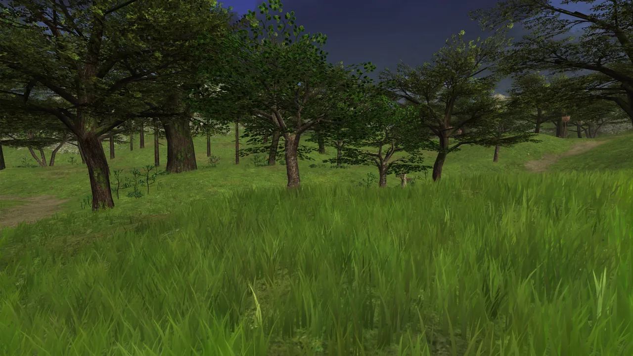 Morning in the Ronfaure forest, every blade of grass in the wind