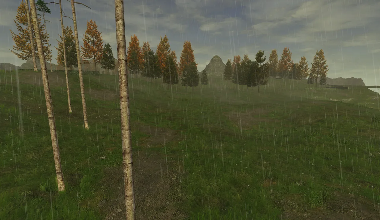 Rain falling through the autumn pines of La Theine