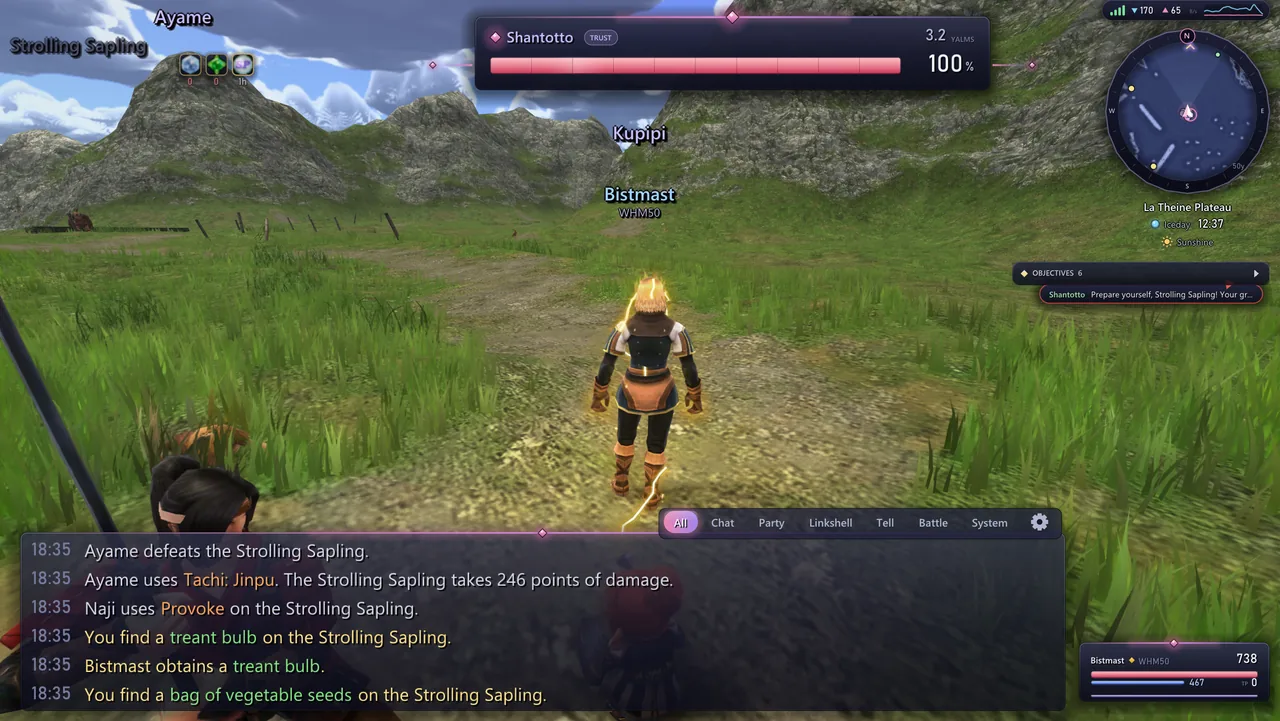 A fight with trusts: the party frame, the target bar and the battle log
